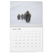 NP-kalender 2021 Montana en Yellowstone Kalender (Jan 2026)