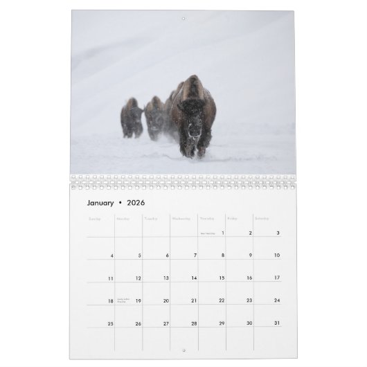 NP-kalender 2021 Montana en Yellowstone Kalender (Jan 2026)