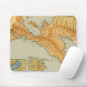 nr. 10 Luzon Muismat (Met muis)