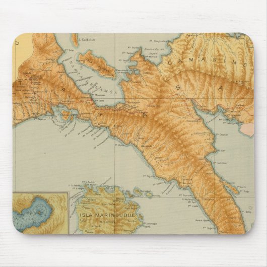 nr. 10 Luzon Muismat (Voorkant)