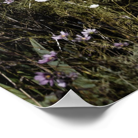 Nr. 1444 Queen ST E 2 kleurenversie Poster (Hoek)