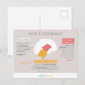 nr. 3 cerveaux briefkaart (Voorkant / Achterkant)