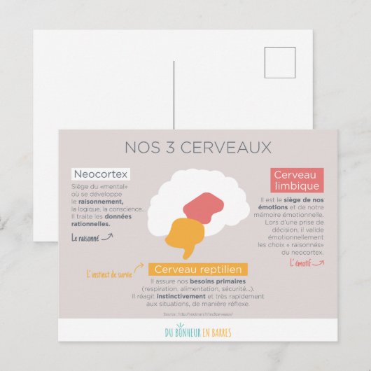 nr. 3 cerveaux briefkaart (Voorkant / Achterkant)