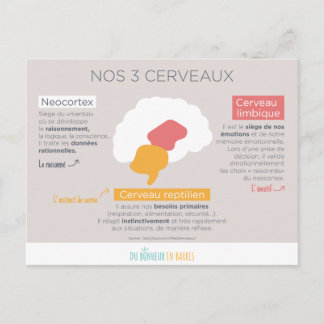 nr. 3 cerveaux briefkaart