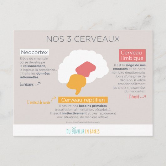 nr. 3 cerveaux briefkaart (Voorkant)