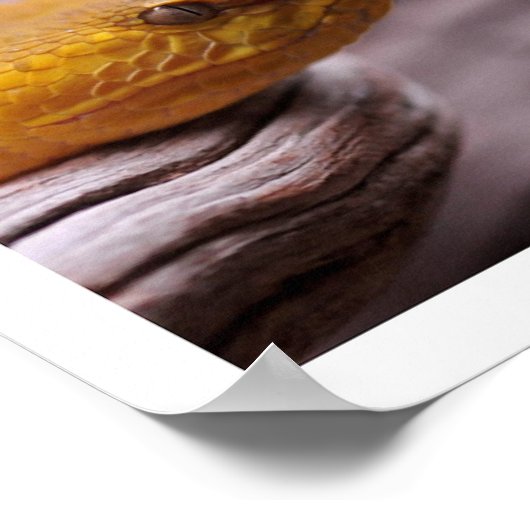 NR-slang fotografie_Page000 Poster (Hoek)