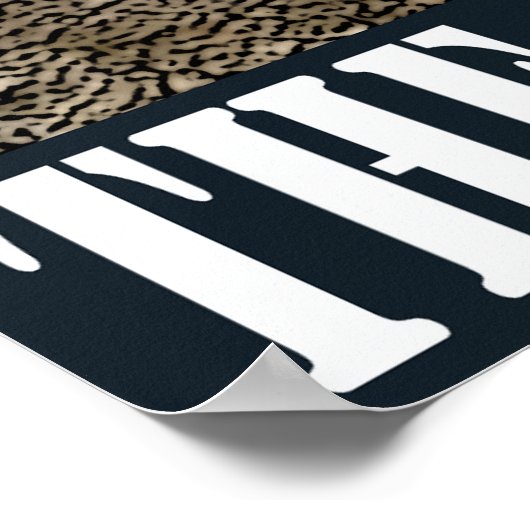 NSC Pilot w/j - Pulse Det Flyer & WIP-ray sidearm Poster (Hoek)