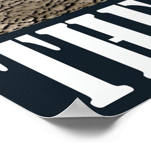 NSC Pilot with j - Pulse Det Flyer Poster (Hoek)