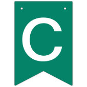 NSU Spartans Afstuderen Vlaggetjes (Tweede vlag)