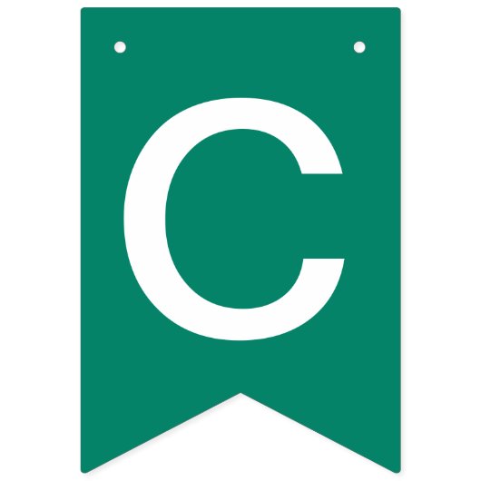 NSU Spartans Afstuderen Vlaggetjes (Tweede vlag)