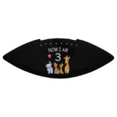 Nu ben ik 3 jaar oud, 3e verjaardag in de dierentu american football (Paneel)