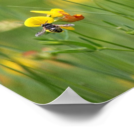 Nu bijen poster (Hoek)