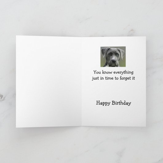 Nu dat je oude Humor Happy Birthday Fun Dog Kaart (Binnen)