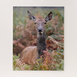 Nu heb je mijn aandacht - 16x20 - 520 stuks legpuzzel