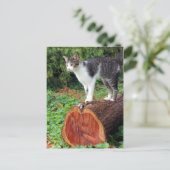 Nu heb je mijn aandacht - Kat Kaart (Staand voorkant)