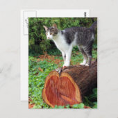 Nu heb je mijn aandacht - Kat Kaart (Voorkant / Achterkant)