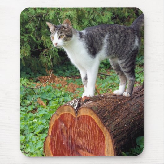 Nu heb je mijn aandacht - Kat Mousepad Muismat (Voorkant)