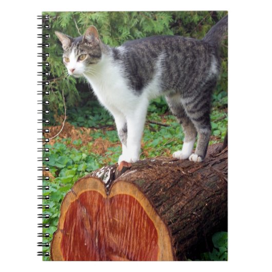 Nu heb je mijn aandacht - Kat Notitieboek (Voorkant)