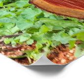 Nu heb je mijn aandacht - Kat Poster (Hoek)