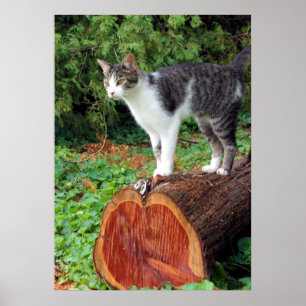 Nu heb je mijn aandacht - Kat Poster