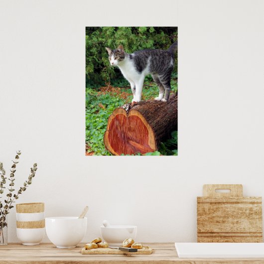 Nu heb je mijn aandacht - Kat Poster (Keuken)