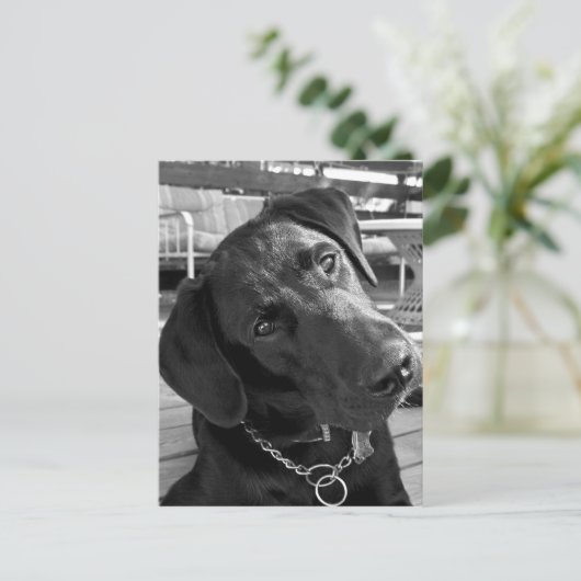 Nu ik je aandacht heb... briefkaart (Staand voorkant)