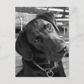 Nu ik je aandacht heb... briefkaart (Voorkant)