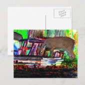 Nu in focus briefkaart (Voorkant / Achterkant)