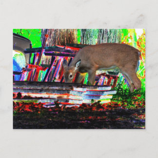 Nu in focus briefkaart