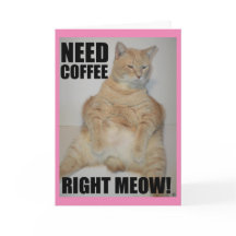 NU KOFFIE NODIG! Manx Kat Zit Grappig