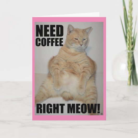 NU KOFFIE NODIG! Manx Kat Zit Grappig Kaart (Voorkant)