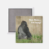 Nu niet...ik heb het druk! Magneet (Voorkant / Achterkant)
