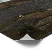 Nubble Light - York, 24x 24x 24x Poster afdrukken (Hoek)