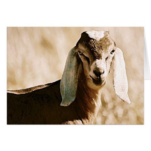 Nubian (Voorkant Horizontaal)