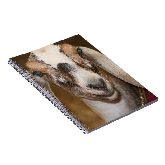 Nubian Dairy Goat Doe White Stripe Caprine Notitieboek (Rechterzijde)