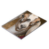 Nubian Dairy Goat Doe White Stripe Caprine Notitieboek (Linkerzijde)