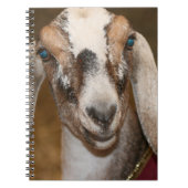 Nubian Dairy Goat Doe White Stripe Caprine Notitieboek (Voorkant)
