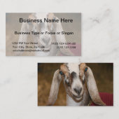 Nubian Dairy Goat Doe White Stripe Caprine Visitekaartje (Voorkant / Achterkant)