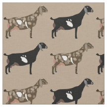 Nubian Dairy Goats on Tan
