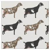 Nubian Dairy Goats on White Stof (Close Up)