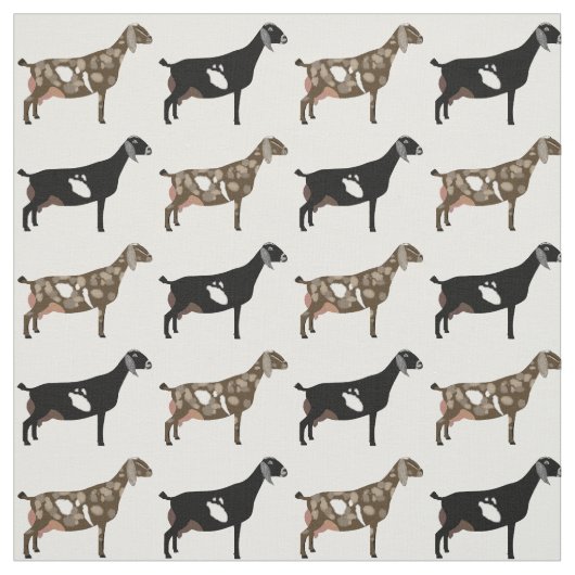 Nubian Dairy Goats on White Stof (Swatch)