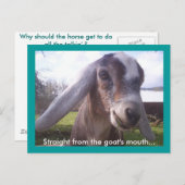 Nubian Goat Briefkaart (Voorkant / Achterkant)