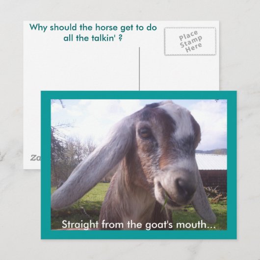 Nubian Goat Briefkaart (Voorkant / Achterkant)