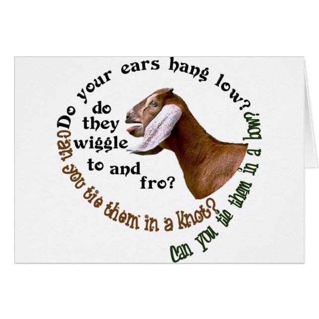 NUBIAN GOAT - DOE JE PAAR LAAG? (Voorkant Horizontaal)