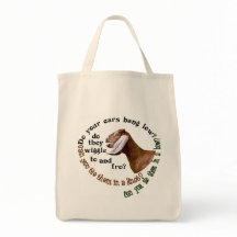 NUBIAN GOAT - DOE JE PAAR LAAG?