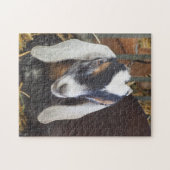  Nubian Goat foto Legpuzzel (Horizontaal)