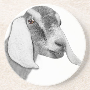 Nubian Goat Sandstone Onderzetter