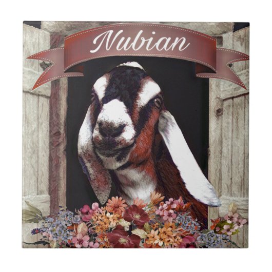Nubian Goat Tegeltje (Voorkant)