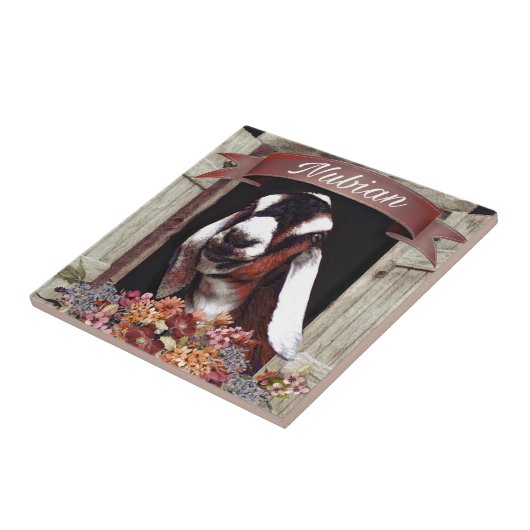 Nubian Goat Tegeltje (Zijkant)