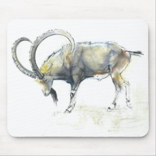 Nubian Ibex 2008 Muismat